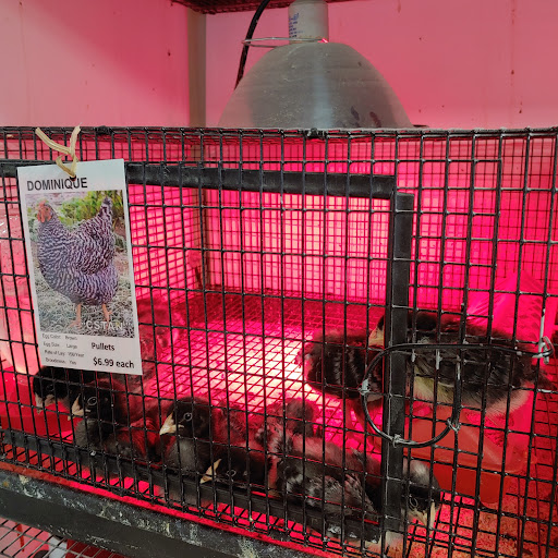 Pet Supply Store «Pickering Valley Feed & Farm Store», reviews and photos, 305 Gordon Dr, Exton, PA 19341, USA