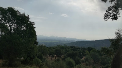 Chrystelle Milord à Roquebrune-sur-Argens