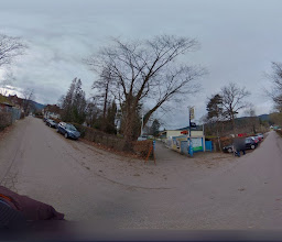 PTSV Jahn Freiburg e.V. photo