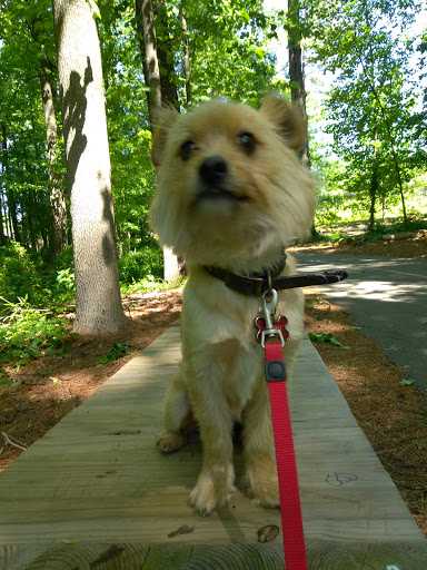 Park «Best Friend Park», reviews and photos, 6224 Jimmy Carter Blvd, Norcross, GA 30071, USA