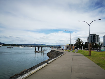 Tauranga Seafront