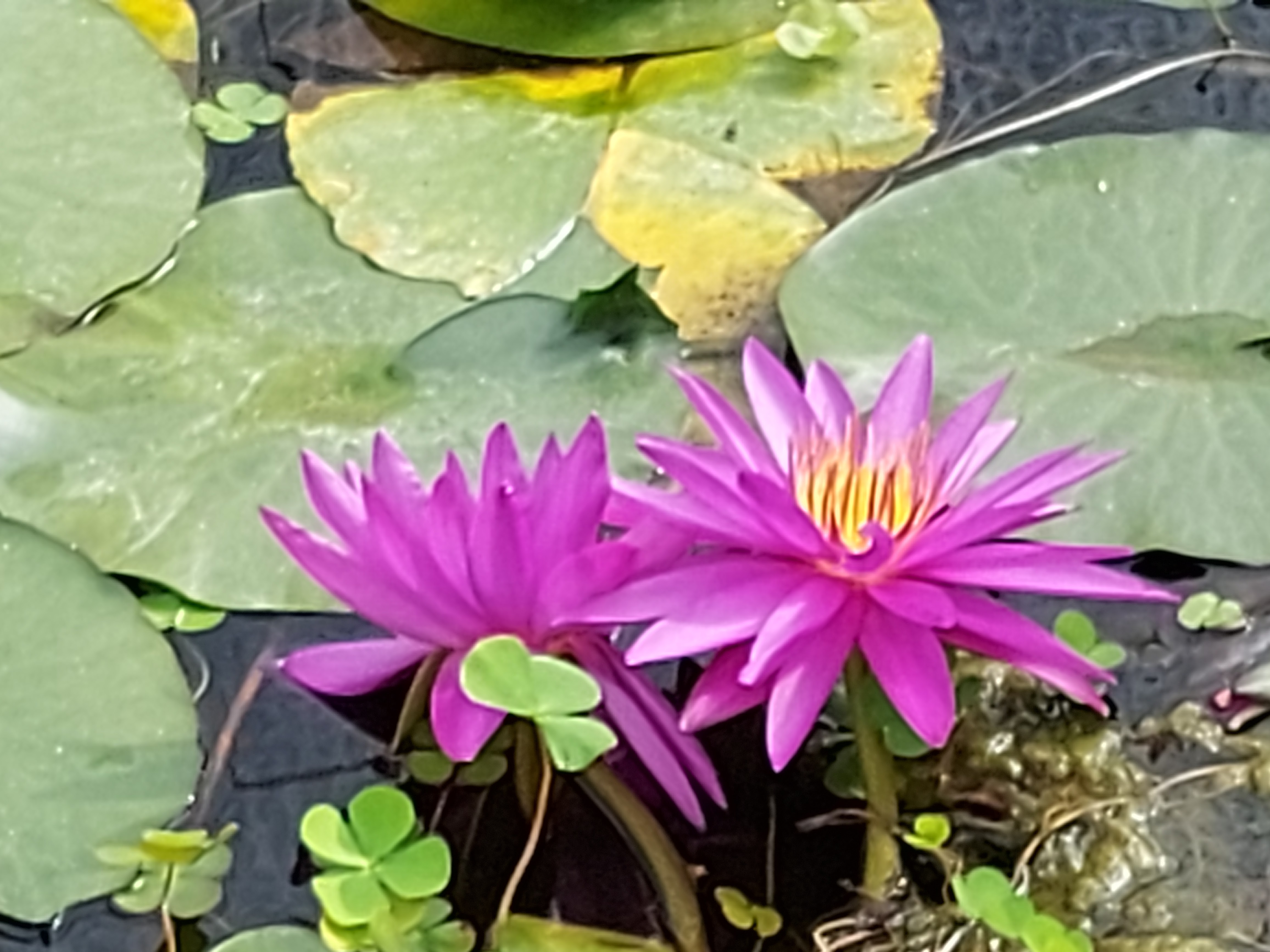 Photo n° 14 de l'avis de Brigitte.o fait le 02/09/2021 à 08:01