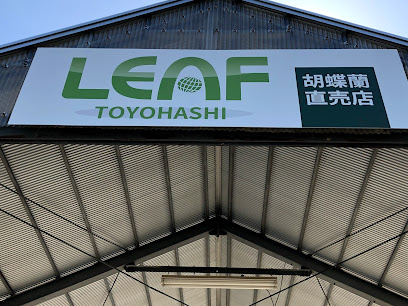 リーフ 胡蝶蘭直売所