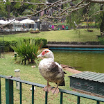 Photo n°1 de l'avis de Aline.u fait le 13/05/2019 à 17:25 sur le  Santa Catarina Café à Funchal