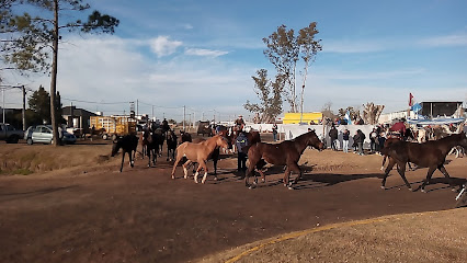 Terminal De Ómnibus San Genaro