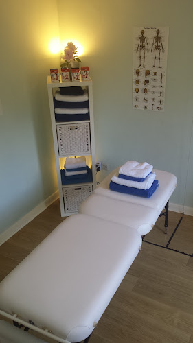Reviews of SL Body Dynamics (Syston) in Leicester - Massage therapist