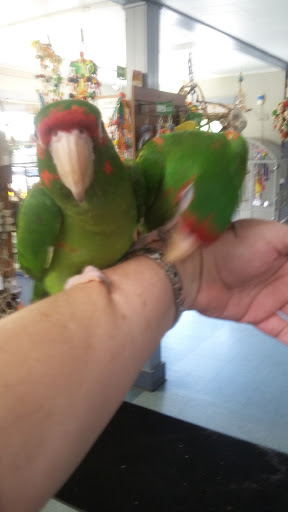 Pet Store «Birdwalk», reviews and photos, 549 Liberty St, Painesville, OH 44077, USA