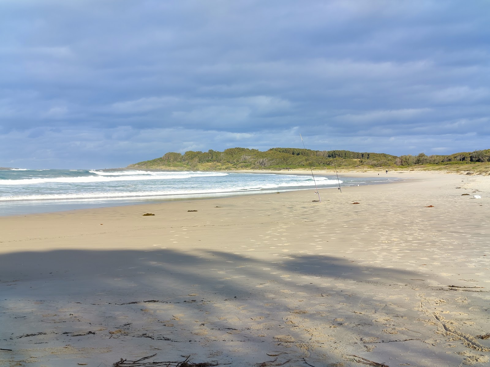 Murramarang Beach photo #7