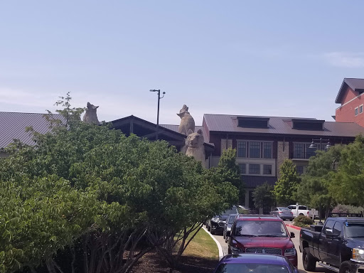 Resort «Great Wolf Lodge», reviews and photos, 100 Great Wolf Dr, Grapevine, TX 76051, USA