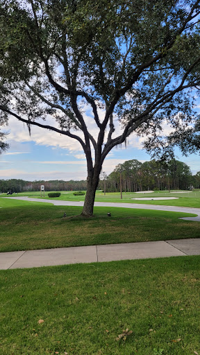 Golf Course «Tranquilo Golf Club at Four Seasons Resort Orlando», reviews and photos, 3451 Golf View Dr, Lake Buena Vista, FL 32830, USA