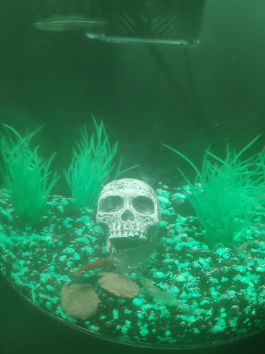 Pet Store «Fish & Pet Plus», reviews and photos, 19 Commerce St, Flemington, NJ 08822, USA