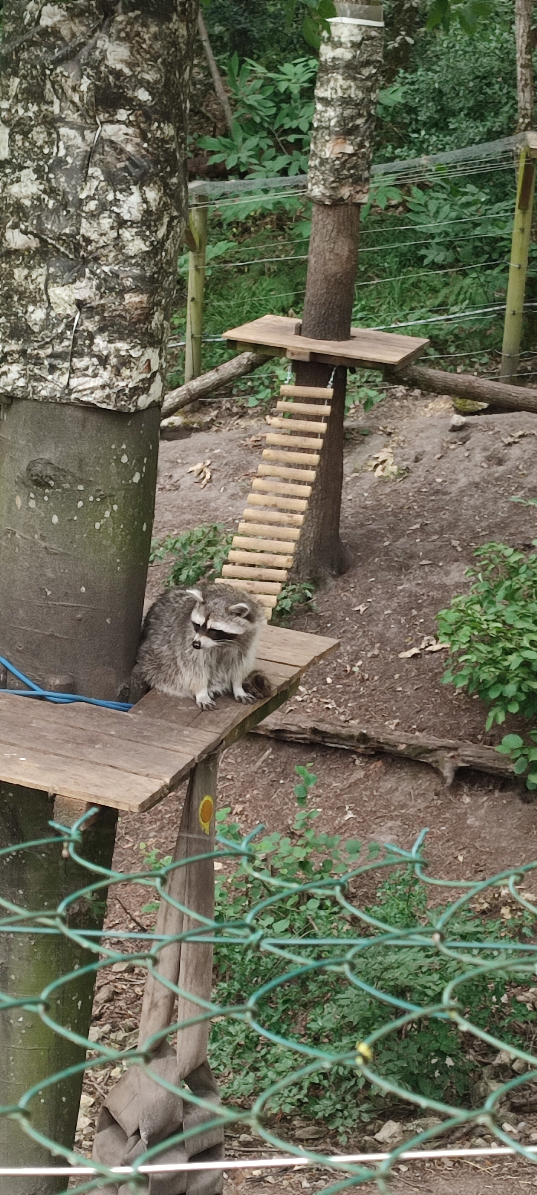Photo n° 3 de l'avis de Théo.a fait le 26/07/2023 à 12:04
