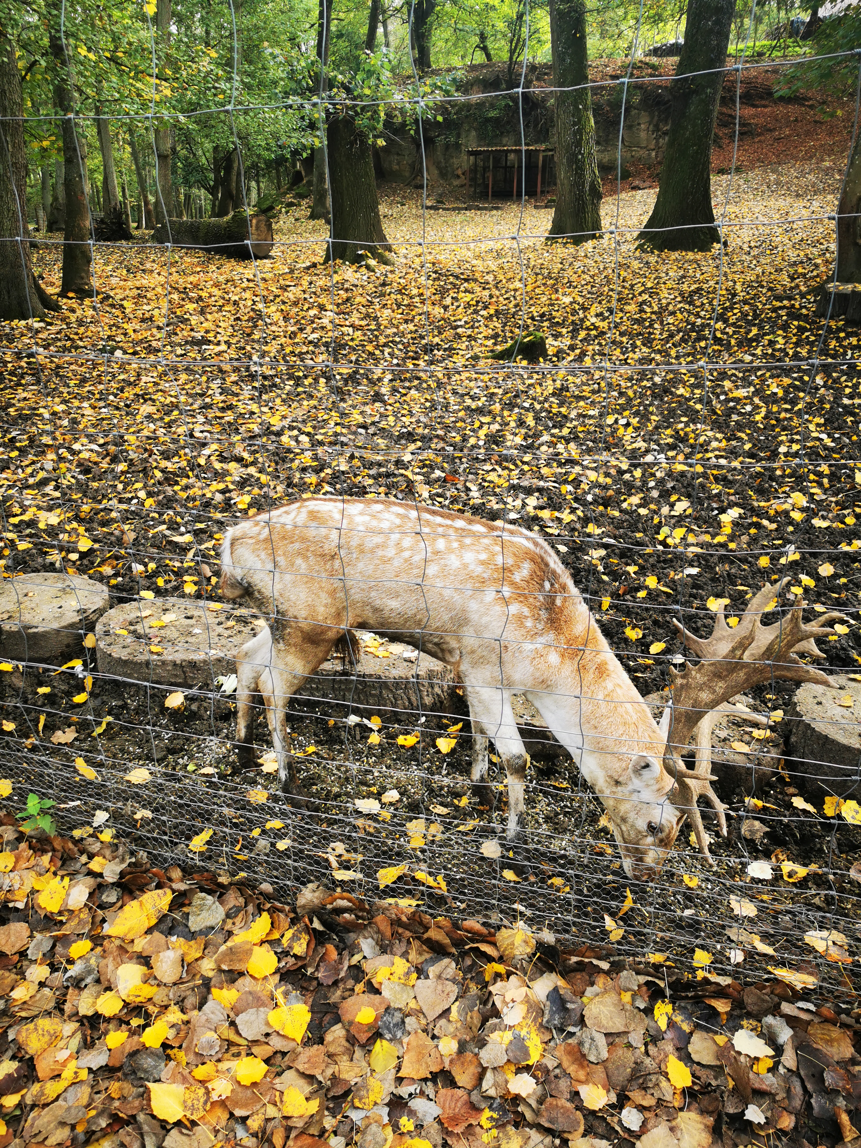 Photo n° 3 de l'avis de Nephilim.o fait le 27/10/2022 à 11:20