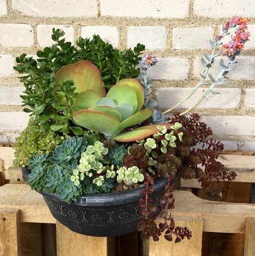 Florist «The Flower Lady», reviews and photos, 1417 Underwood Ave, Milwaukee, WI 53213, USA