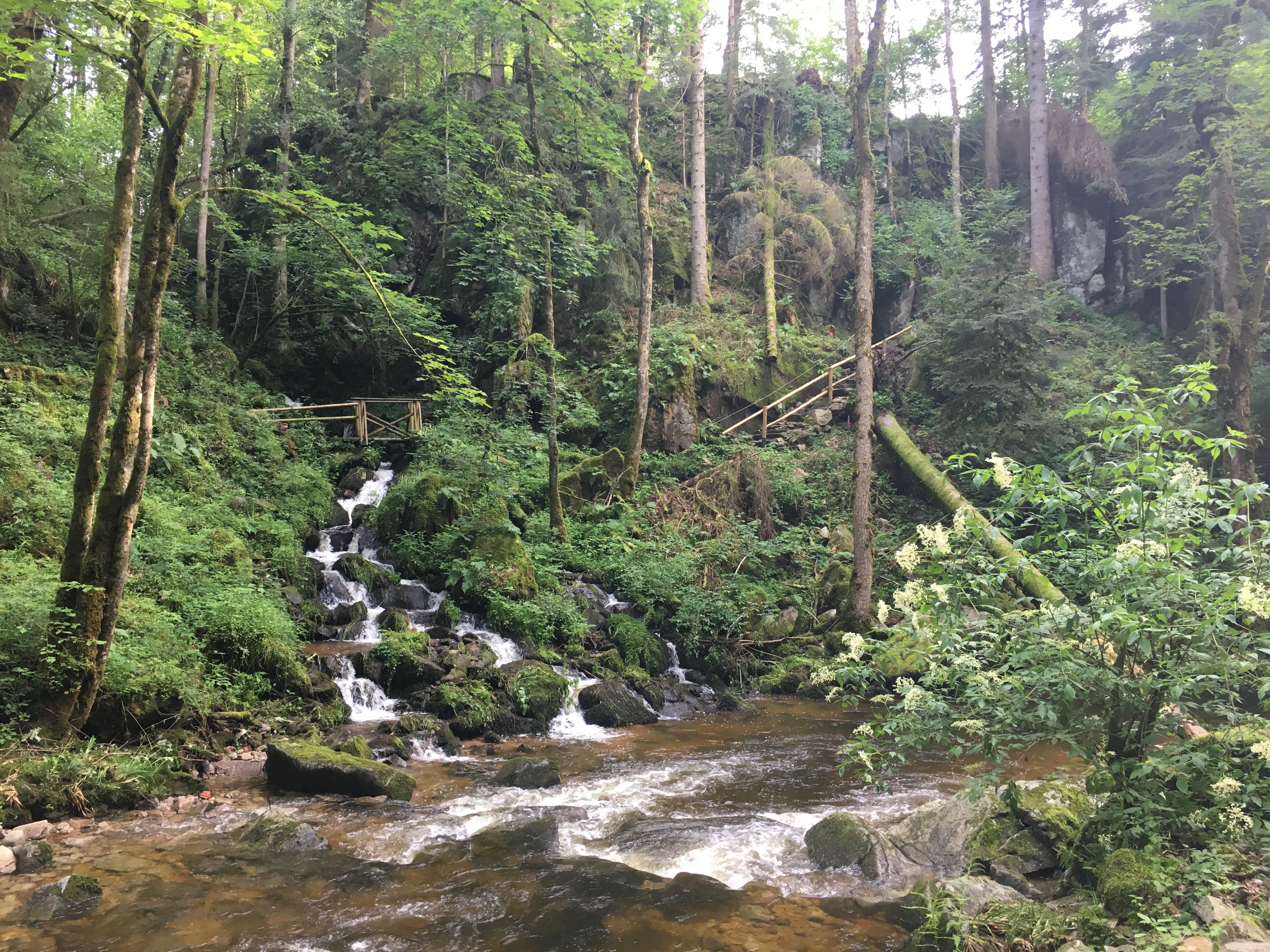 Photo n° 3 de l'avis de Yannick.r fait le 16/06/2018 à 05:46