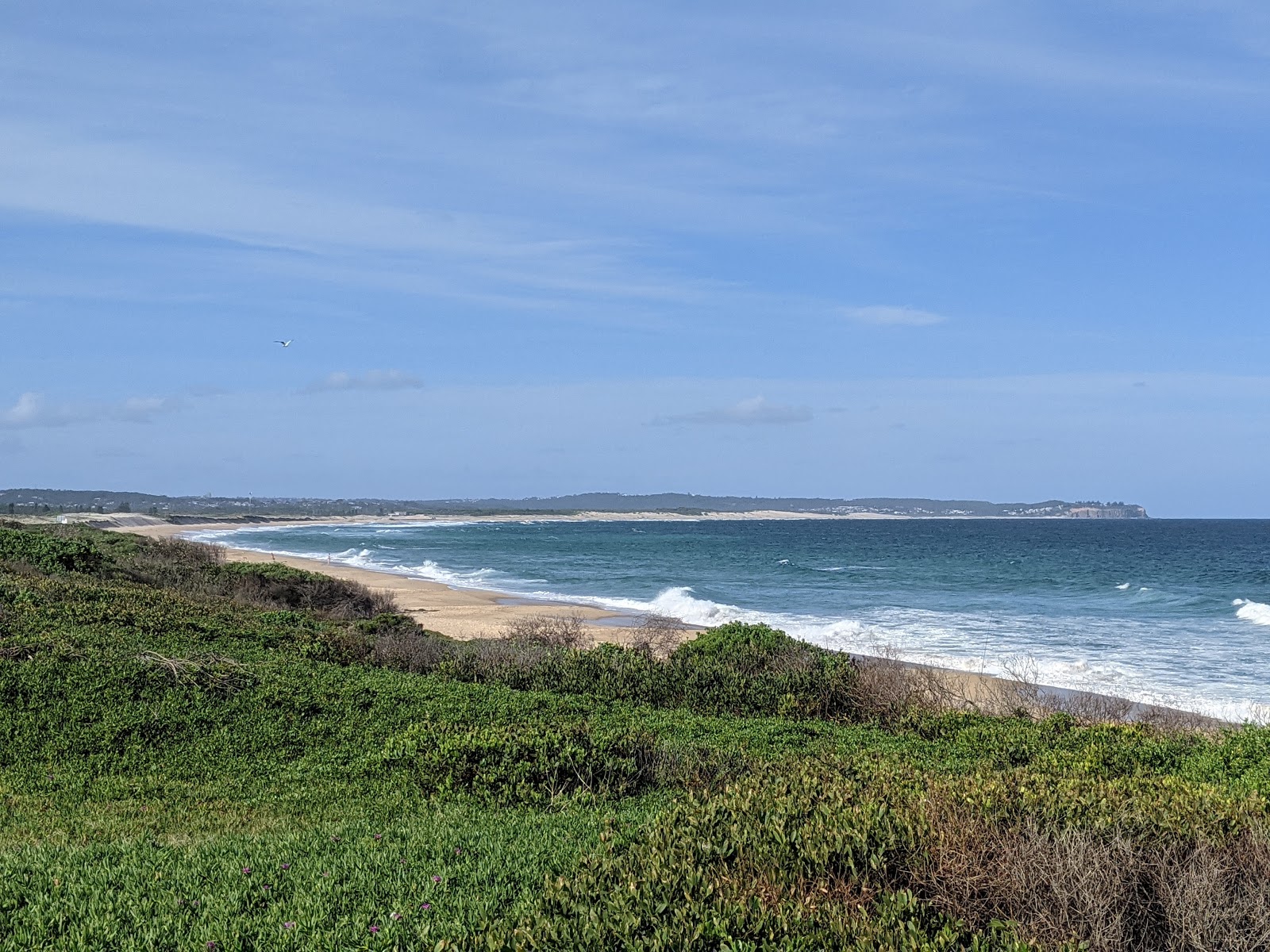 Heads Beach photo #7