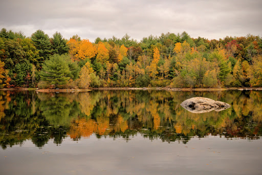 Nashoba Brook Watershed Trails