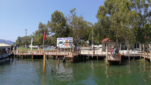 Dalyan Su Ürünleri Kooperatifi