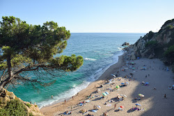 Photo de Cala de la Vinyeta - endroit populaire parmi les connaisseurs de la détente