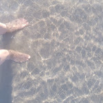 Photo n°2 de l'avis de Silvana.o fait le 22/07/2020 à 14:50 sur le  Hotel Lina Misano Adriatico à Misano Adriatico