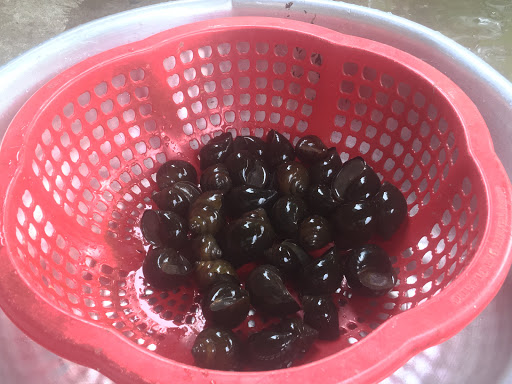 Top 13 cửa hàng kim giáp Huyện Trà Ôn Vĩnh Long 2022