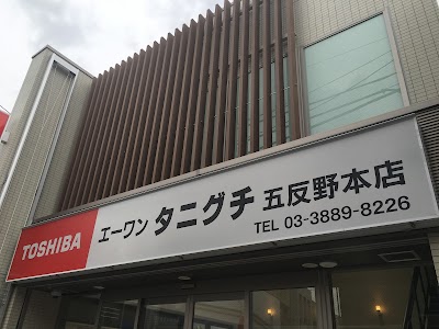 エーワン タニグチ