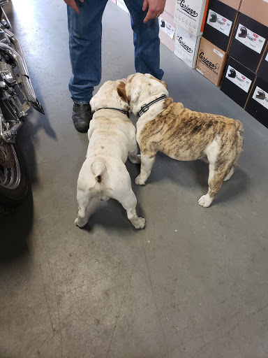 Motorcycle Dealer «Indian Larry Motorcycles», reviews and photos, 70 N 15th St, Brooklyn, NY 11222, USA