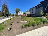 Cooper's Landscape LLC - Photo 7 - Car repair in Lynnwood, WA, Everett