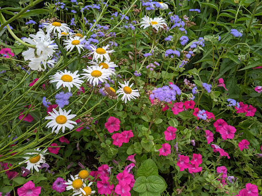 Museum «Princeton University Art Museum», reviews and photos, Elm Dr, Princeton, NJ 08544, USA