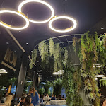 Photo n°1 de l'avis de Katia.e fait le 22/01/2024 à 20:33 sur le  Moya Asian Fusion Restaurant à Empoli