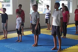 Saraiva Taekwondo image