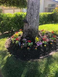 Romero Landscaping and Maintenance