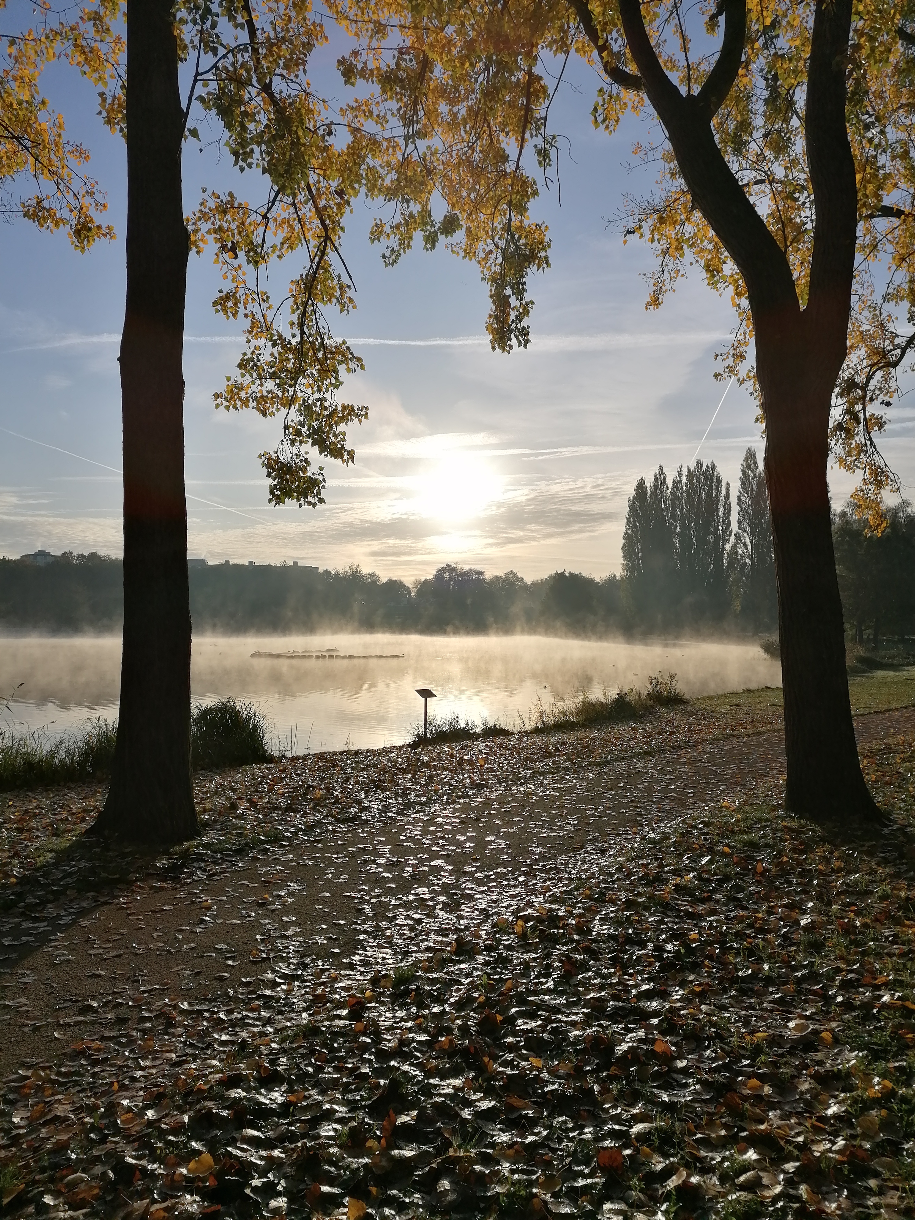 Photo n° 1 de l'avis de Mélodie.a fait le 07/11/2019 à 22:04
