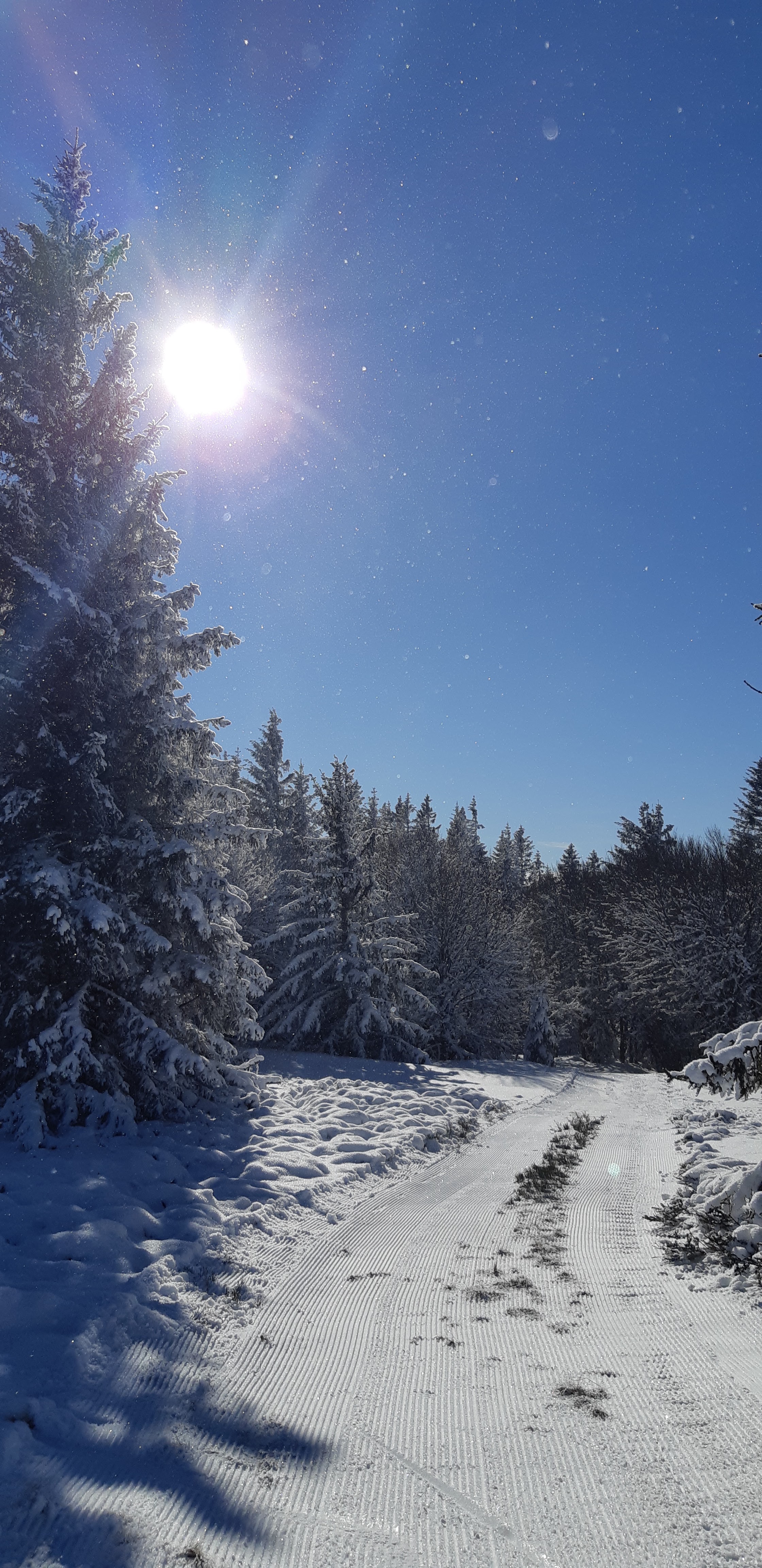Photo n° 5 de l'avis de Patricia.t fait le 24/12/2017 à 19:48
