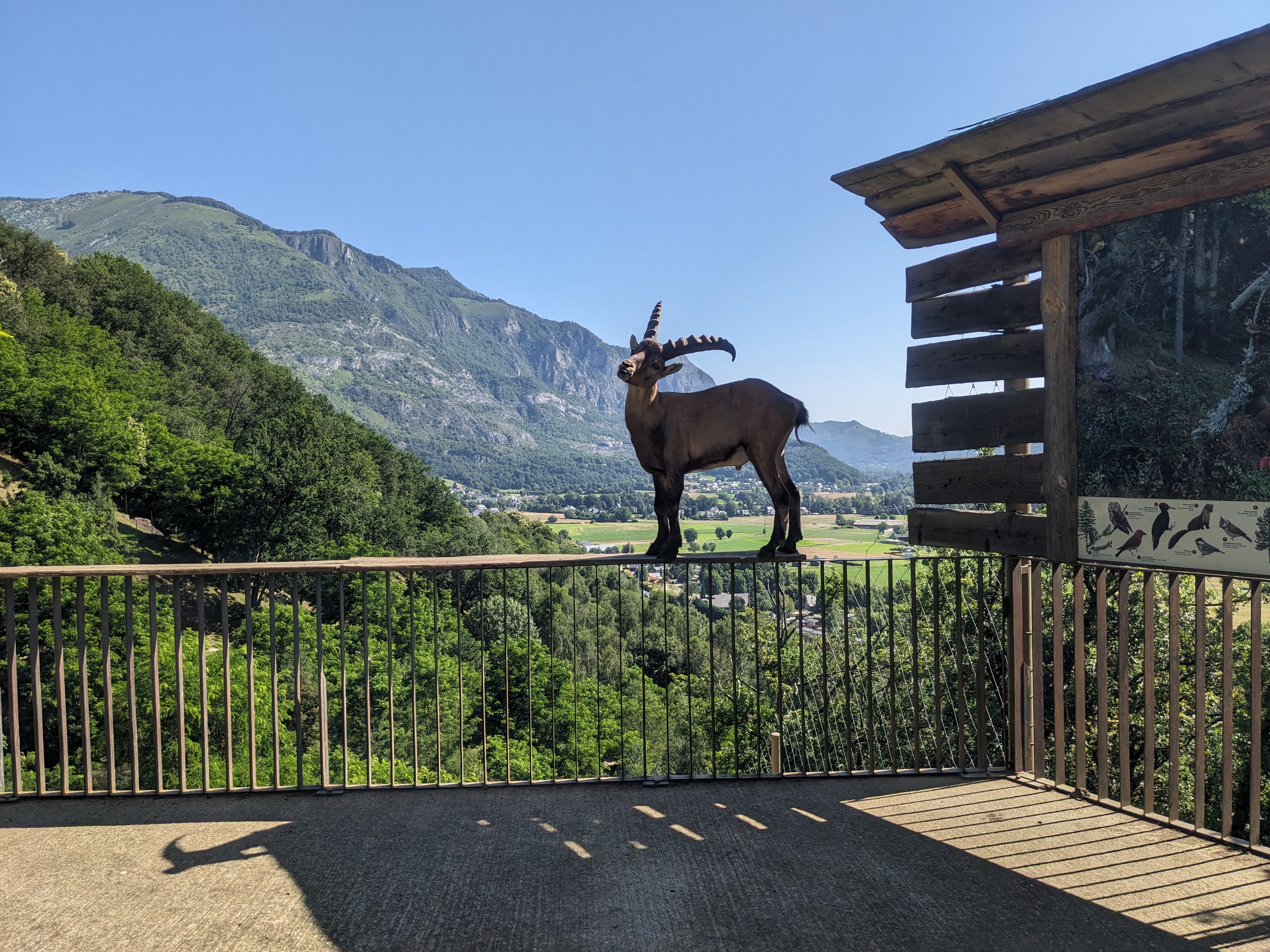 Photo n° 5 de l'avis de mathilde.a fait le 16/07/2023 à 19:21