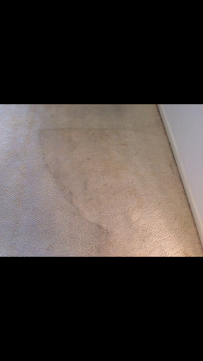 Steve Dial's Carpet Cleaning - Photo 3 - Car repair in Fort Myers, FL, Cape Coral