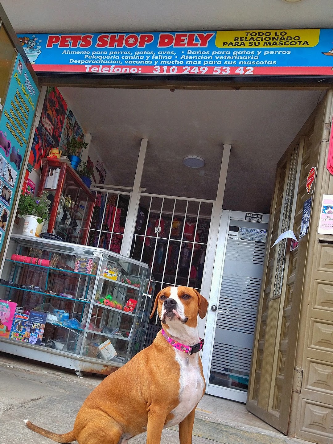 Pets shop keyla