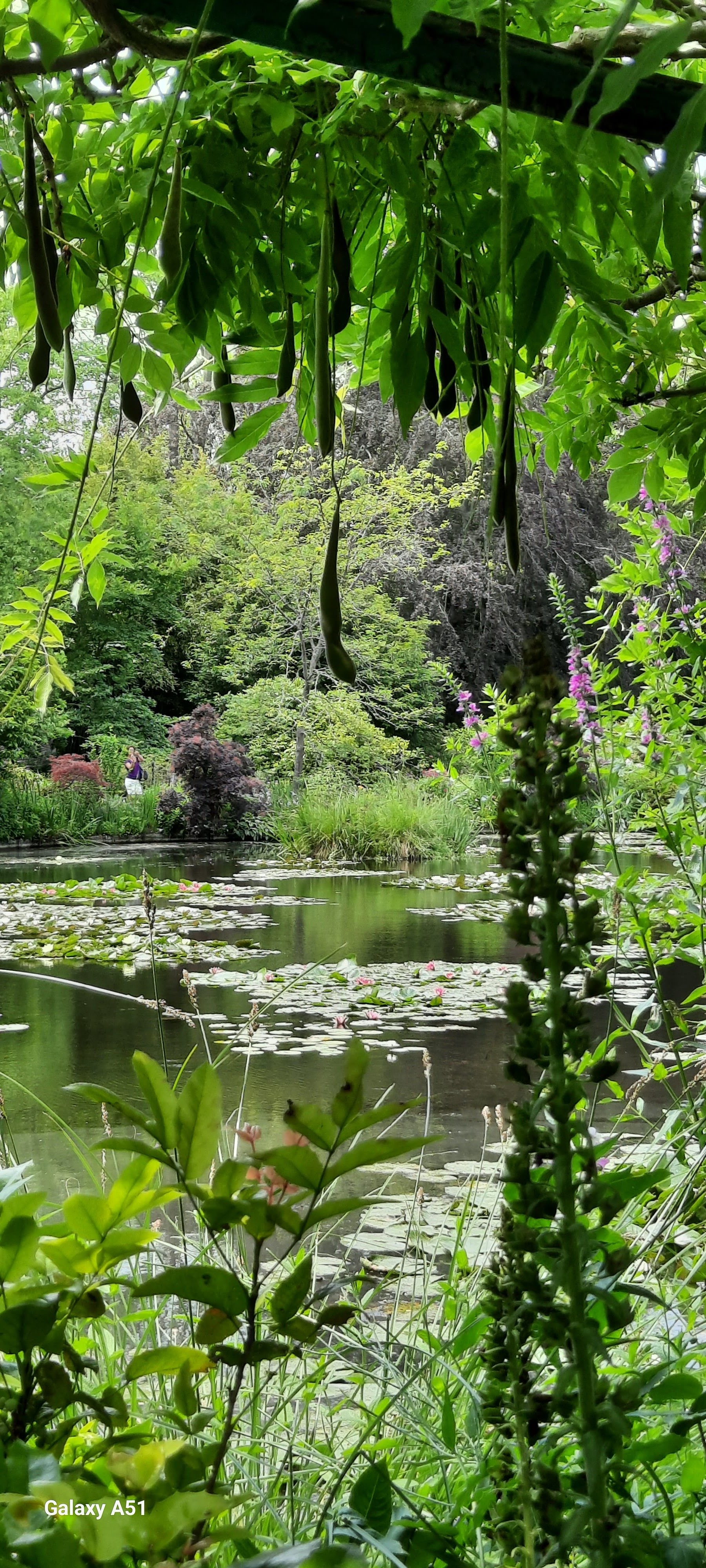 Photo n° 3 de l'avis de Evelyne.o fait le 14/07/2023 à 11:43