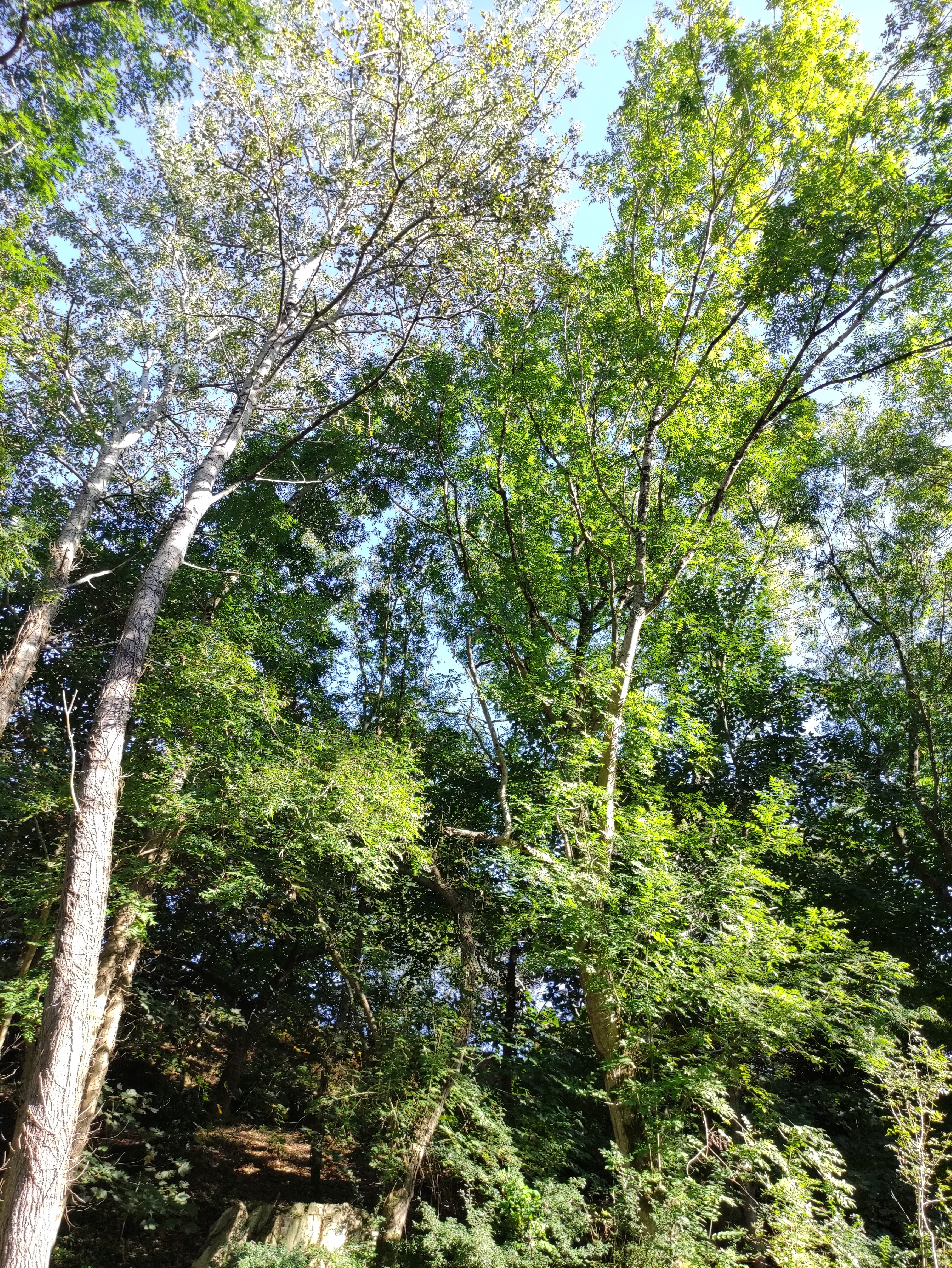 Photo n° 2 de l'avis de Pascale.a fait le 24/09/2021 à 13:22