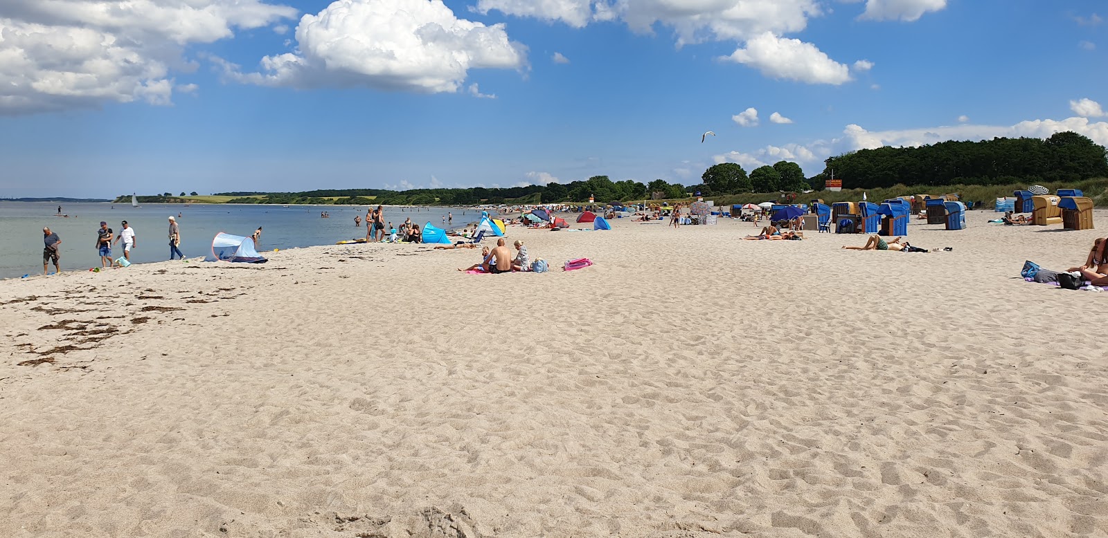 Zdjęcie Plaża Sehlendorf - popularne miejsce wśród znawców relaksu