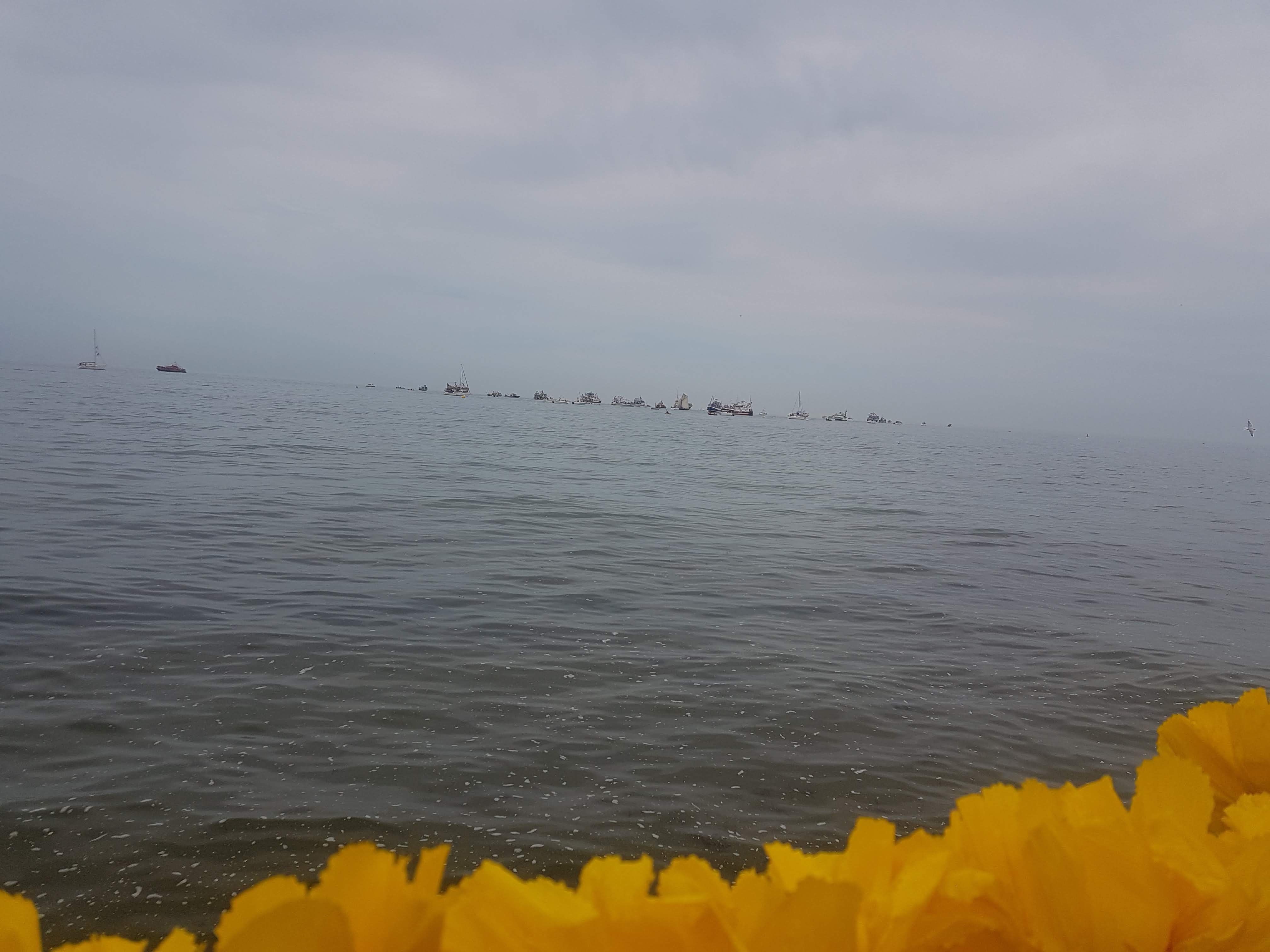 Photo n° 3 de l'avis de annick.o fait le 19/08/2022 à 16:41