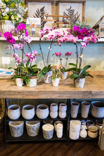 Florist «Happy Canyon Flowers», reviews and photos, 5048 E Hampden Ave, Denver, CO 80222, USA