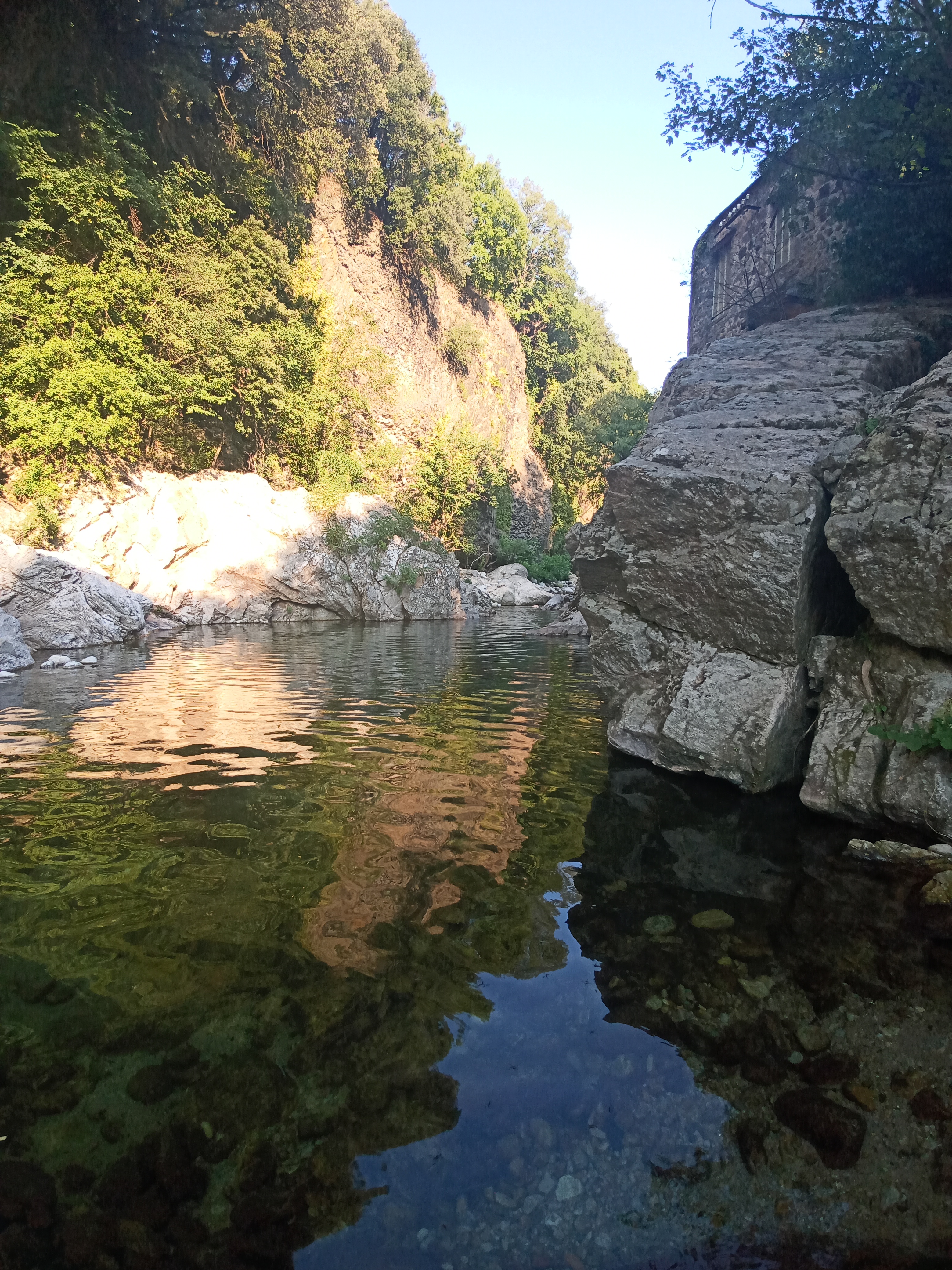 Photo n° 5 de l'avis de Joséfa.o fait le 15/08/2022 à 09:45