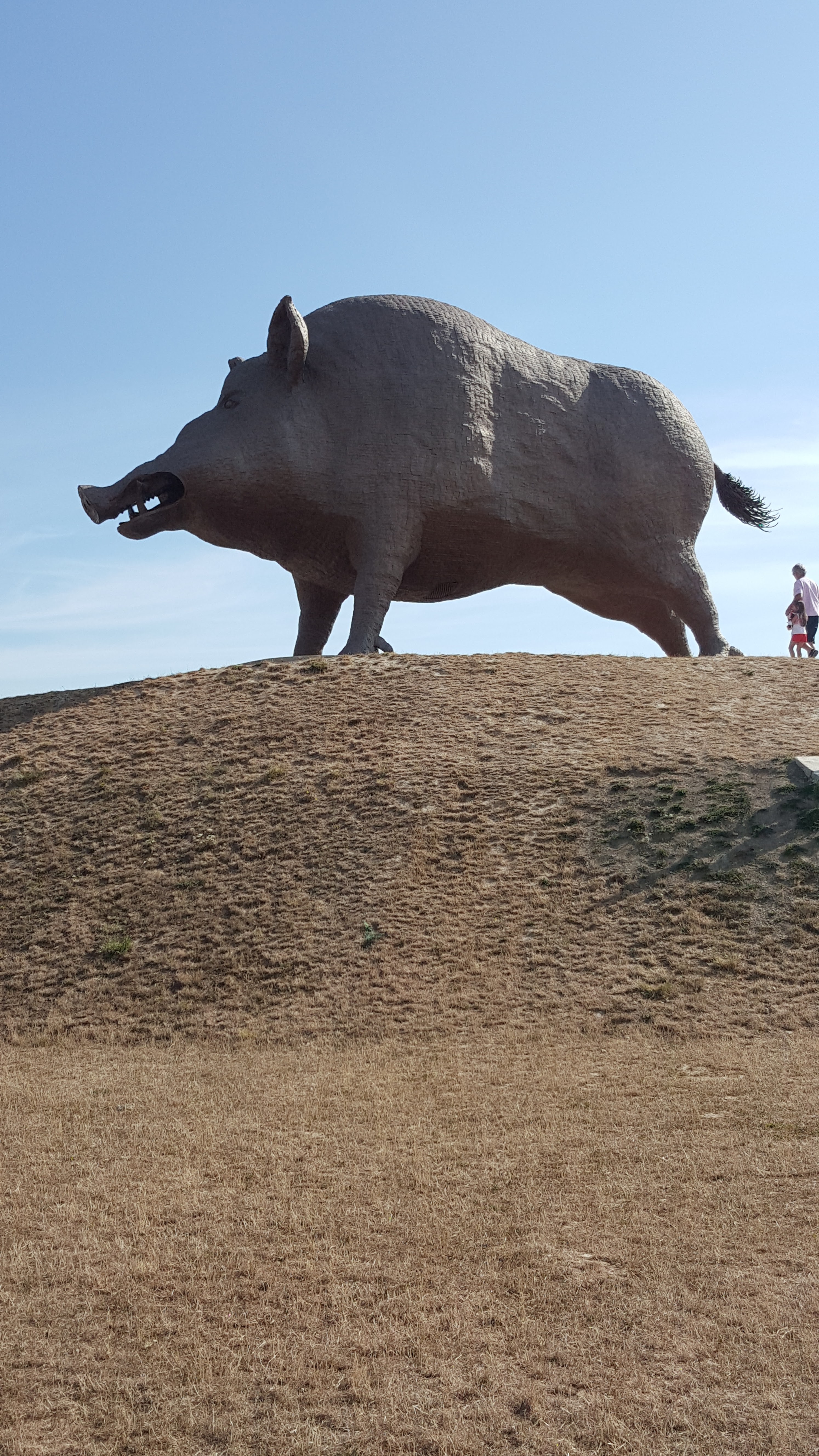 Photo n° 7 de l'avis de Nadine.. fait le 05/08/2019 à 07:30