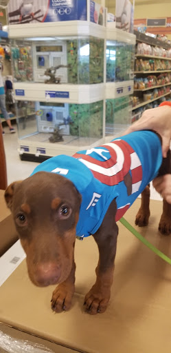 Pet Supply Store «PetSmart», reviews and photos, 34940 Emerald Coast Pkwy, Destin, FL 32541, USA