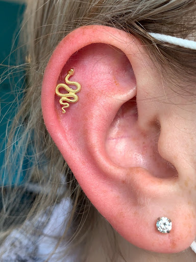 Explore music tattoo ideas sleeve, creative tattoo ideas in Ann Arbor, available at Ideal Body Piercing