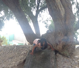 La Amistad Park photo