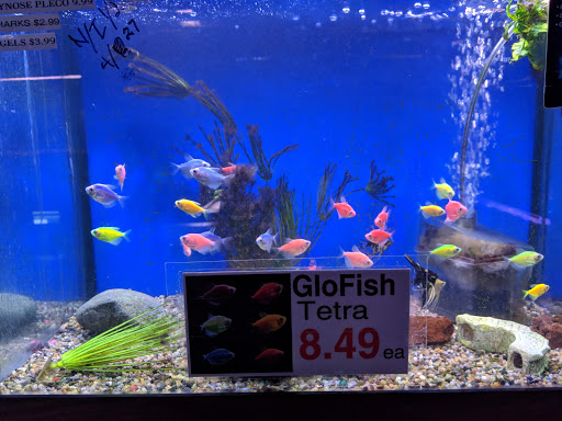 Tropical Fish Store «Midway Tropical Fish & Pets», reviews and photos, 24101 Pacific Hwy S, Kent, WA 98032, USA