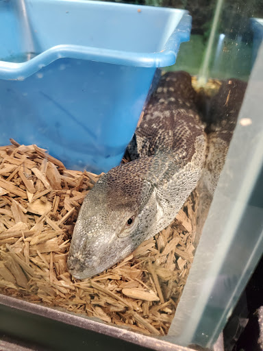 Pet Store «The Enclosure», reviews and photos, 1820 Golden Mile Hwy, Pittsburgh, PA 15239, USA