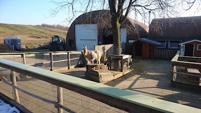 Photos of Ezelstal de Edelingen